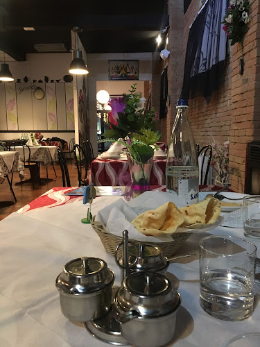 Opinii despre Johal Indian Restaurant & Pizzeria în Novellara - Ristorazione