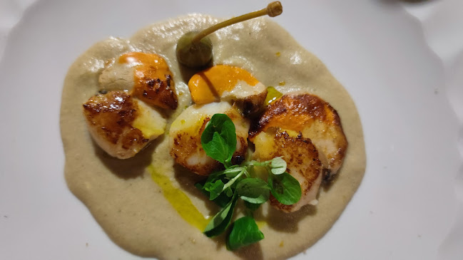 Opinii despre Ristorante Il Ritratto di Aldo Tiboni în Arco - Ristorazione