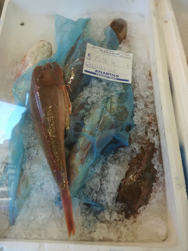 Pescheria Alex e Raf - Ravenna