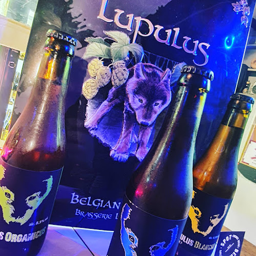 Comentarii opinii despre BEER SPOT craft pub - beer & cocktail