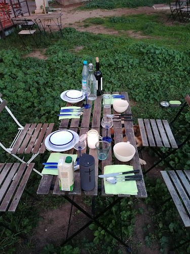 Comentarii opinii despre al Polpo Marino