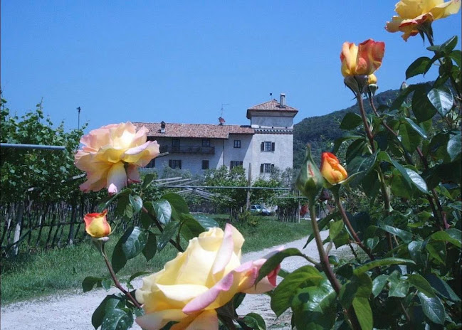 http://www.lacolomberariva.com/