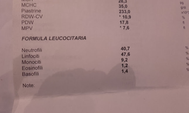 Opinii despre Pizza Panqozzo în Sant'Antimo - Ristorazione