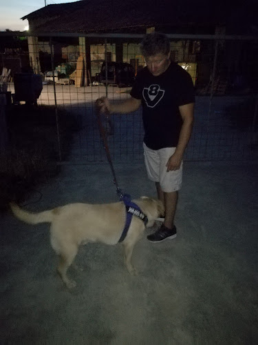 Opinii despre Grano e Braci în Soncino - Ristorazione