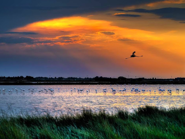 Ristorante Al Deserto - Cervia