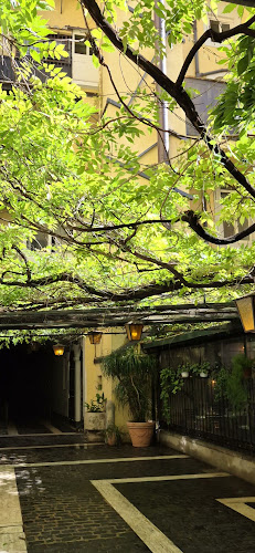 Otello alla Concordia