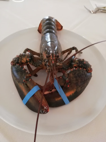 Ristorante Capriccio - Frosinone