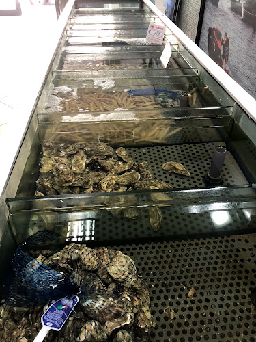 Maremondo Pescheria di Francesco Pucci