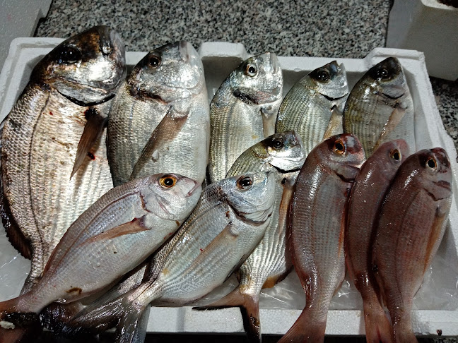 Comentarii opinii despre Pescheria Giannuzzi
