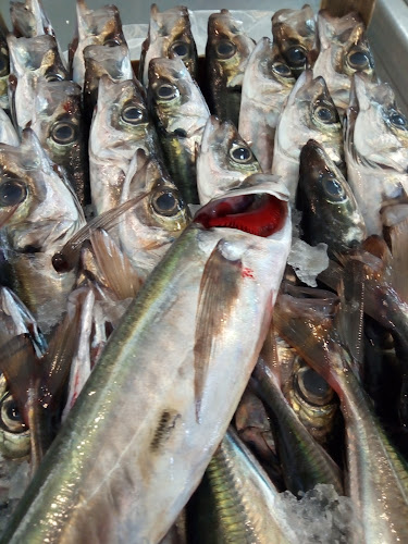 Opinii despre Pescheria Piporittica în Barcellona Pozzo di Gotto - Ristorazione