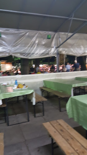 Comentarii opinii despre Festa dell'Unità del Borgorino