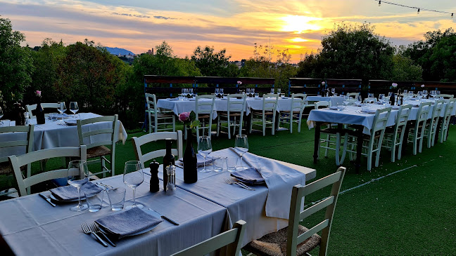 Il Podere del Germano Reale - Coriano