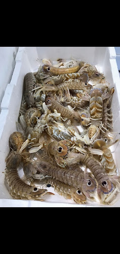 Reviews of Pescheria montegani in Milano - Ristorazione