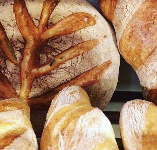 Comentarii opinii despre Panificio Rota & Consonni