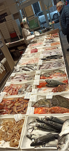 Tomassini Luigi - Pesaro