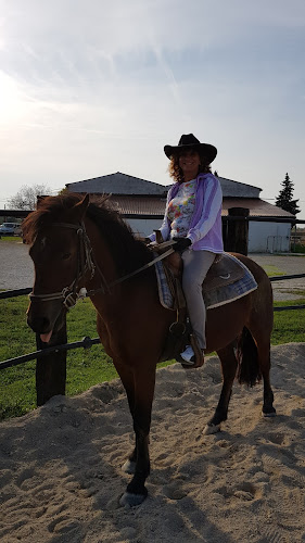 Osteria Al Maneggio - Ristorazione