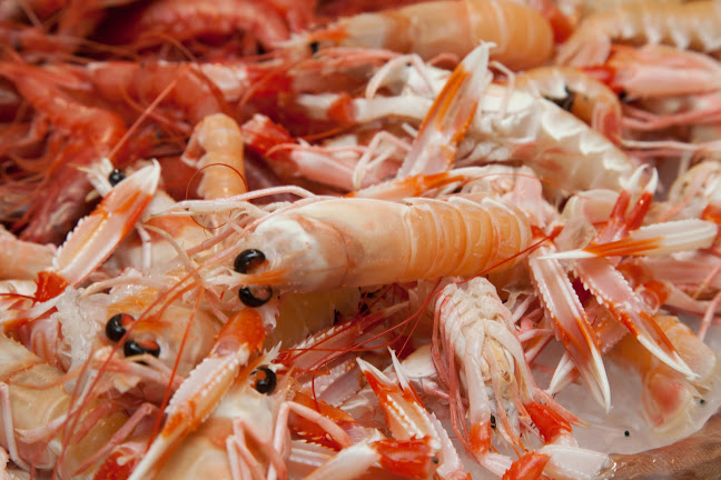 Opinii despre Gastronomia Pescheria Cagliari în Cagliari - Ristorazione