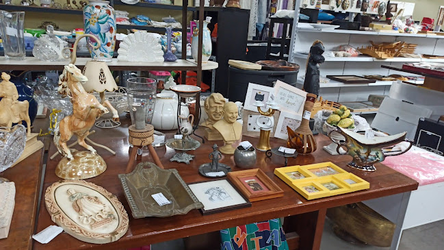 Reviews of Mercatino dell'usato "Affare Assicurato" in Reggio nell'Emilia - Ristorazione