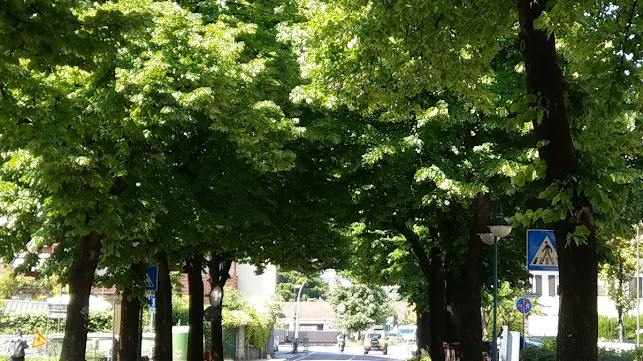 Opinii despre Birroteca l'Albero pizza&food în Riva del Garda - Ristorazione