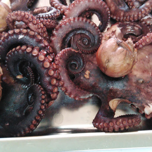 Paninoteca SUB - Ristorazione