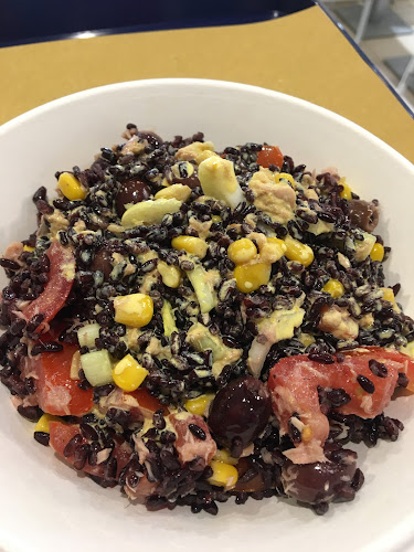 Monegato Giuseppe Verdi