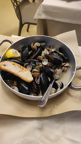 Bar Ristorante Frenk Open Times