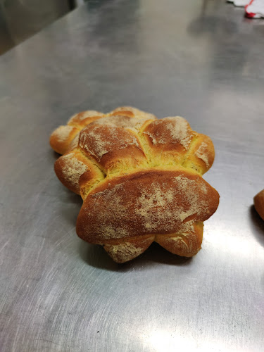 L'angolo dei Sapori - Ristorazione