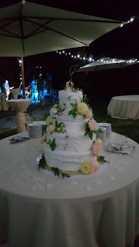 Via Paolo Gaidano, 179/27, 10137 Torino TO