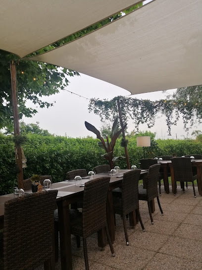 Pinseria Aurelia 159