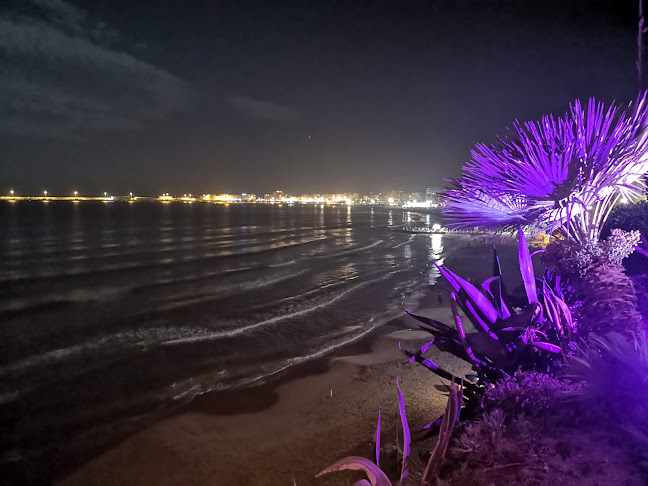 Via Antonio Gramsci, 153a, 00048 Nettuno RM