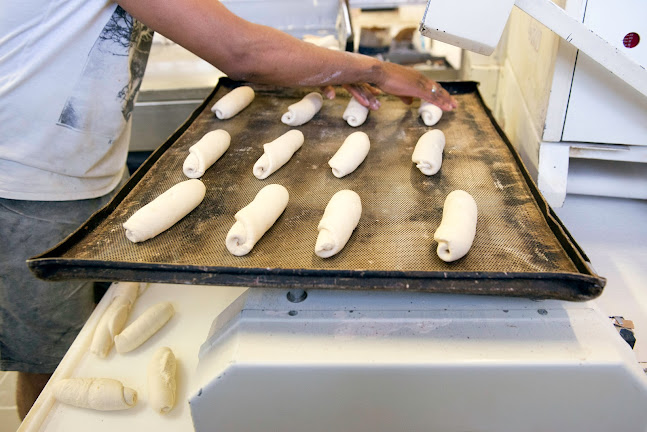 Comentarii opinii despre G.M.D. Snc