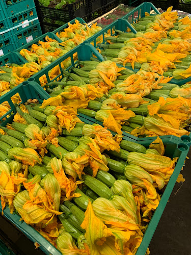 FRIDA DI R. DI D'AGOSTINO - Volla