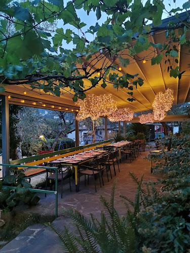 Comentarii opinii despre U Giancu