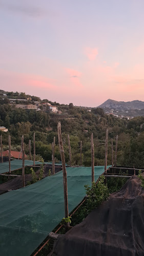 Opinii despre Ristorante Pic Nic în Massa Lubrense - Ristorazione