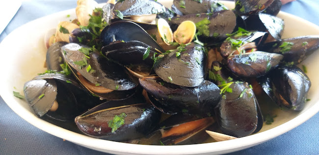 Comentarii opinii despre Altamarea Rimini | Ristorante di Pesce | Cucina Romagnola | Piadina | Pizza | Burger