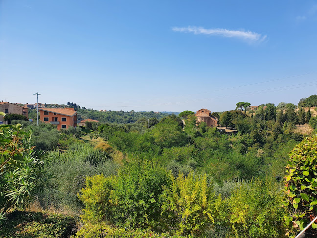 Opinii despre Ristorante Il Pettirosso în Pisa - Ristorazione