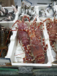 Ercomar Di Raso Ercolino