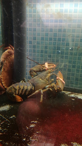 PESCHERIA LA RETE - Ristorazione