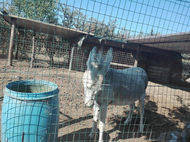 Reviews of AGRITURISMO "TERRA E VITA" in Recanati - Ristorazione