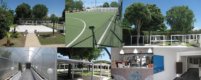 Opinii despre Complesso Eden Ristorante Pizzeria Caserta în Frignano - Ristorazione