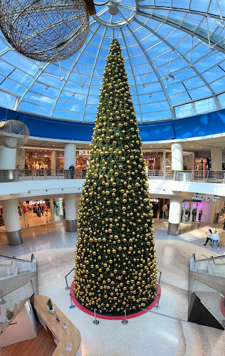 Comentarii opinii despre Piazza Campania