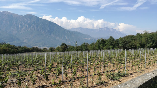 Comentarii opinii despre Ristorante Pizzeria Rosalpina