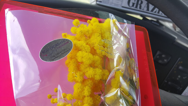 Via Statale, 142/d, 42013 Casalgrande RE