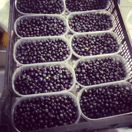 Opinii despre Gelateria Mikos în Seravezza - Ristorazione