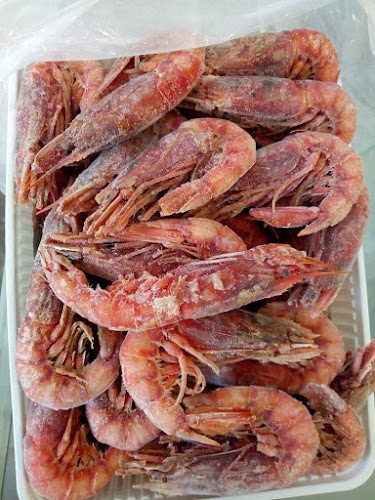 Comentarii opinii despre Pescheria Piporittica