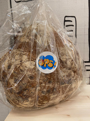 Comentarii opinii despre Ops osteria della pizza a spasso