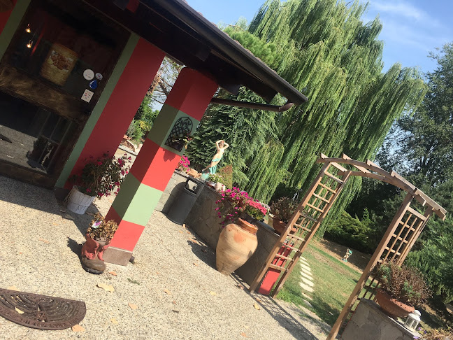 Comentarii opinii despre Ristorante La Verandina