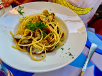 Zenzero Phone number