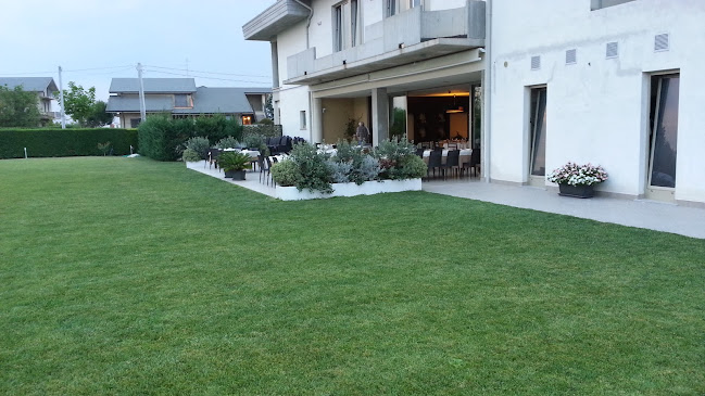 Opinii despre Ristorante Pizzeria Il Morello în Arielli - Ristorazione