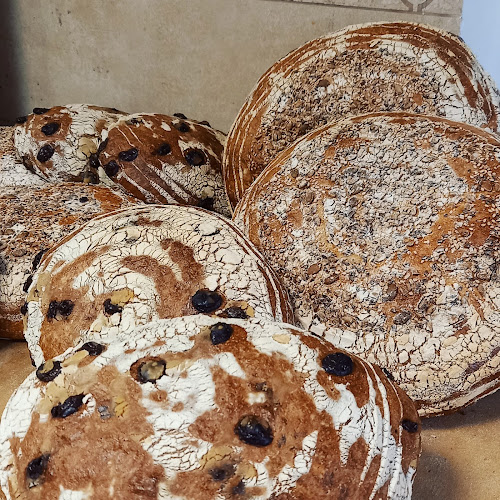 Ops osteria della pizza a spasso